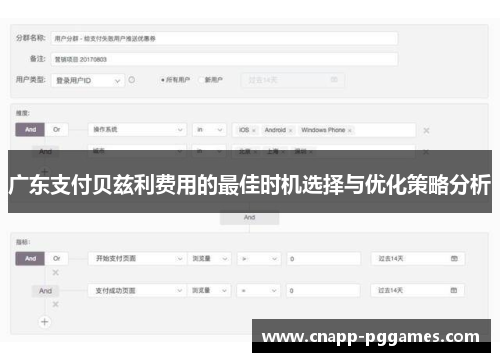 广东支付贝兹利费用的最佳时机选择与优化策略分析 广东支付贝兹利费用的最佳时机选择与优化策略分析