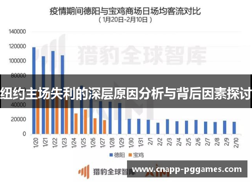 纽约主场失利的深层原因分析与背后因素探讨