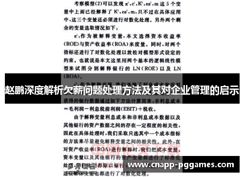 赵鹏深度解析欠薪问题处理方法及其对企业管理的启示