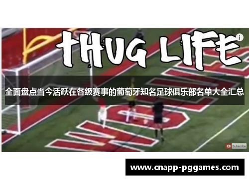 全面盘点当今活跃在各级赛事的葡萄牙知名足球俱乐部名单大全汇总