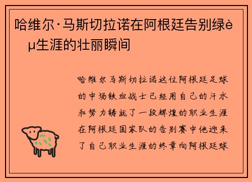哈维尔·马斯切拉诺在阿根廷告别绿茵生涯的壮丽瞬间